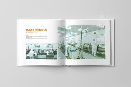 鮮譽(yù)品牌觸覺 企業(yè)形象畫冊與宣傳冊設(shè)計(jì)理念